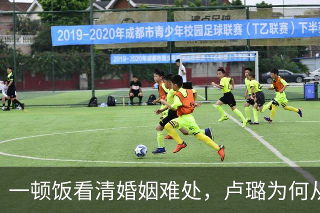 一顿饭看清婚姻难处，卢璐为何从此不再去探班刘欢